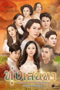 Cánh Đồng Tình Yêu | Toong Sanaeha (2020)