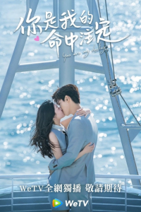 Em Là Định Mệnh Đời Anh | You Are My Destiny (2020)